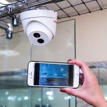 Цены передержки котов в отеле Стоимость в сутки отеля для кошек с котятами