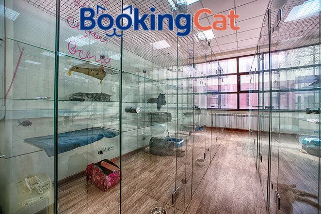 франшиза отелей для животных Booking Cat франшиза отелей для животных Booking Cat