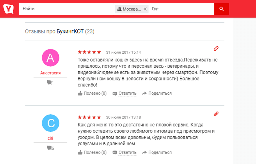 франшиза отелей для животных Booking Cat - отзывы франшиза отелей для животных Booking Cat - отзывы