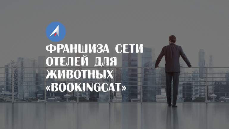 Как открыть зоогостиницу или груминг салон