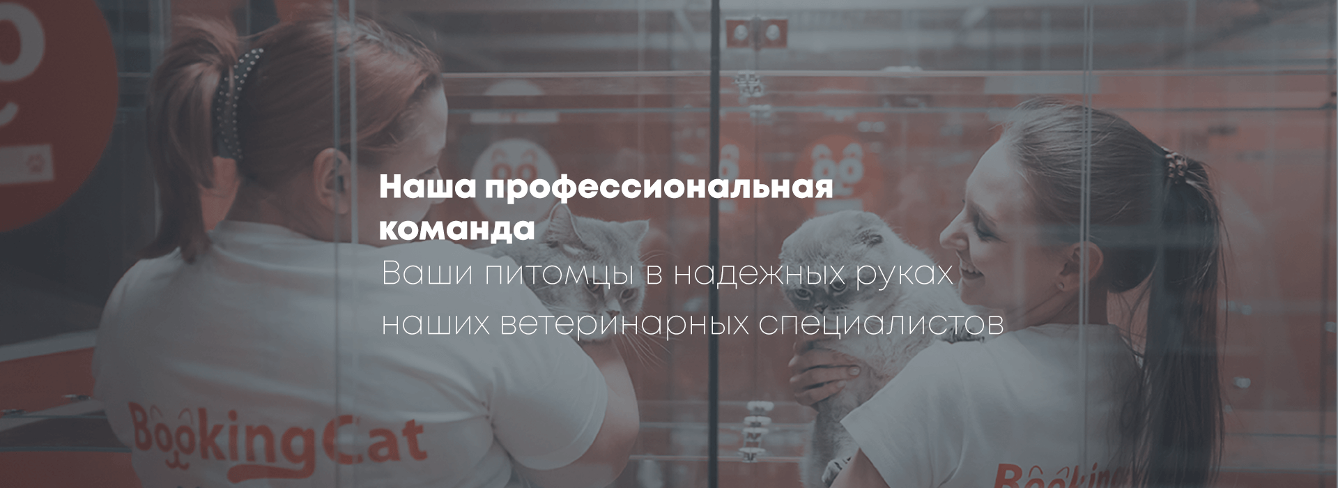 Команда desktop (2) Команда desktop (2)