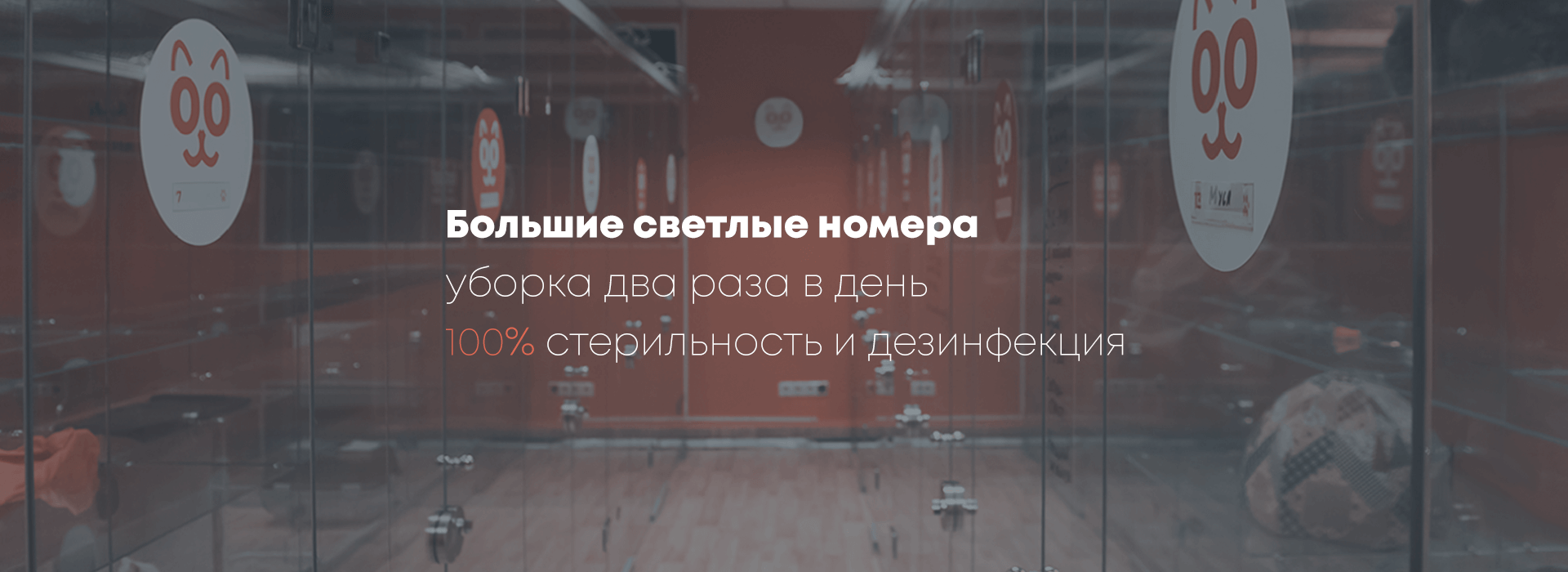 Номера Desktop (2) Номера Desktop (2)