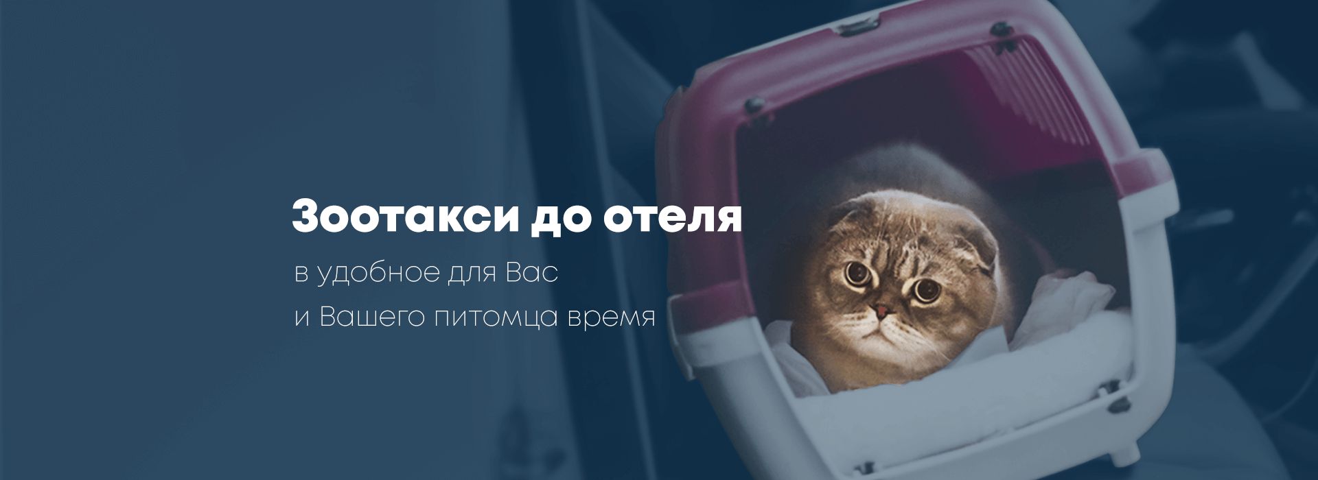 Зоотакси descktop (2) Зоотакси descktop (2)